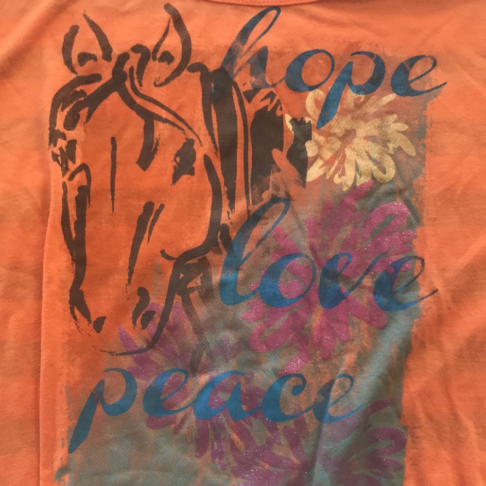 Horse Shirt & children place  pink plaid